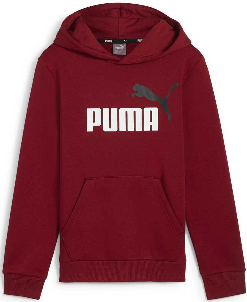 Puma Sportinis Kostiumas Paaugliams TeamRise Tracksuit Jr Juodas 658655 03