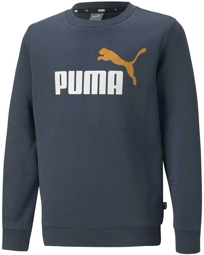 Puma Džemperis Paaugliams Ess + 2 Col Big Logo Navy 586986 16