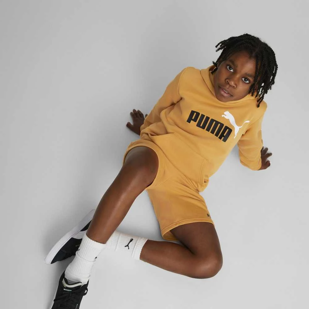 Puma Džemperis Paaugliams Ess + 2 Col Big Logo Geltona 586987 30