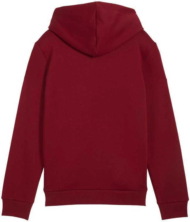 Puma Sportinis Kostiumas Paaugliams TeamRise Tracksuit Jr Juodas 658655 03