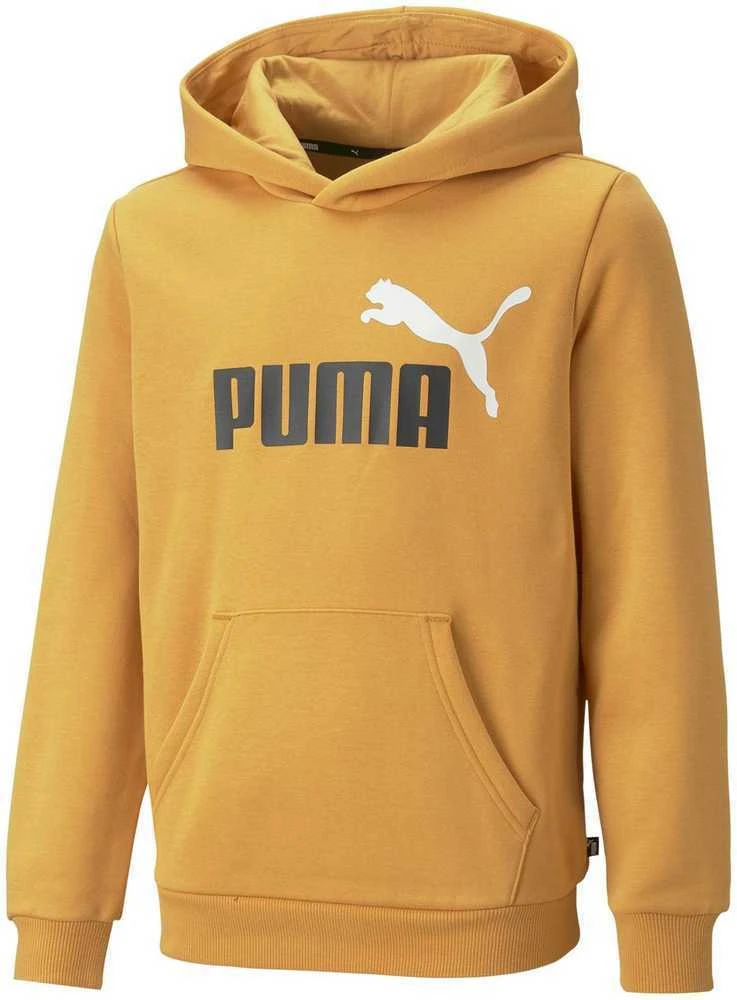 Puma Džemperis Paaugliams Ess + 2 Col Big Logo Geltona 586987 30