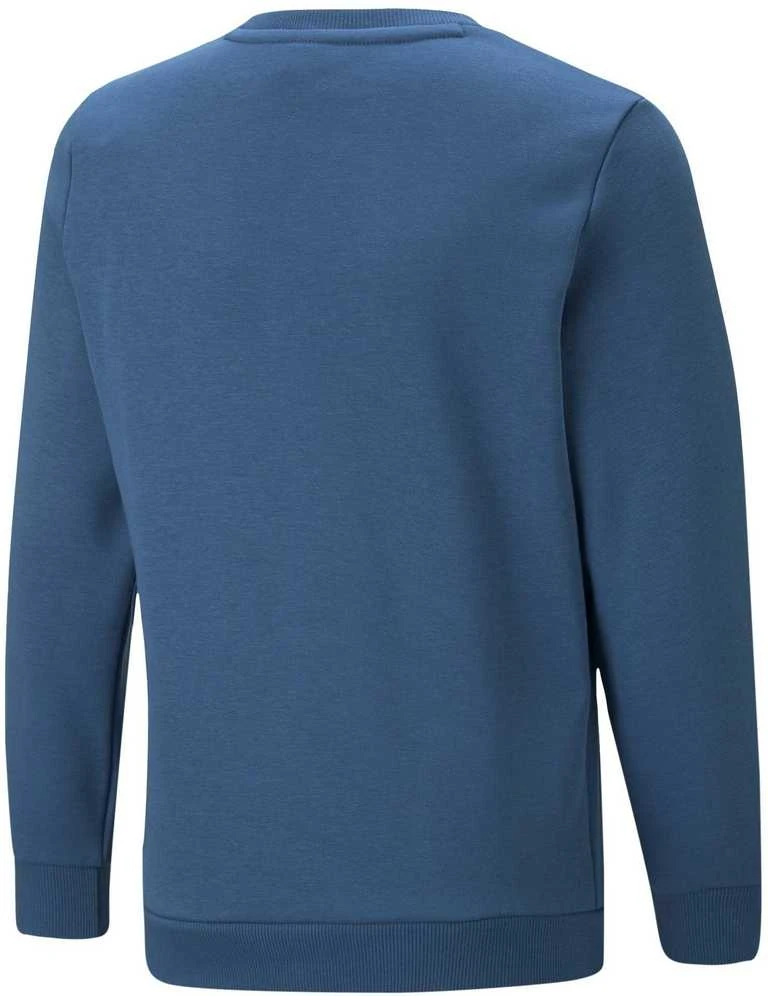 Puma Džemperis Paaugliams Ess+ 2 Col Big Logo Mėlyna 586986 17
