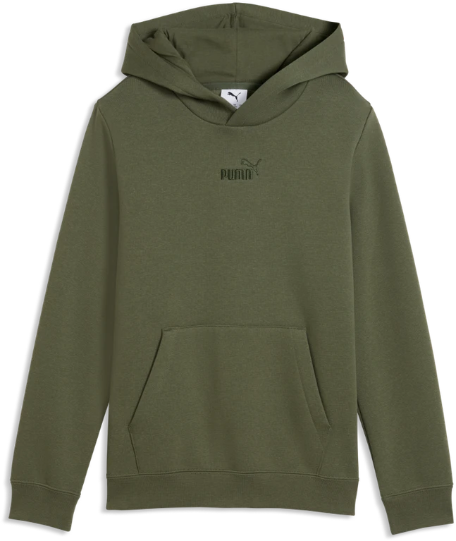 Puma Džemperis Paaugliams Ess 2 Color No.1 Logo Hoodie Fl Žalias 692976 86