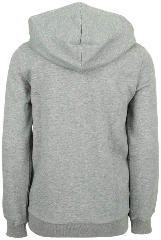 Puma Džemperis Paaugliams Ess Big Logo Fz Pilkas 586967 03