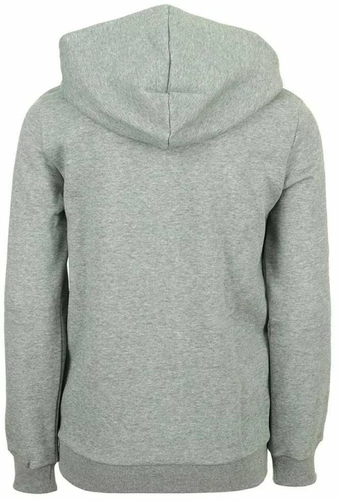 Puma Džemperis Paaugliams Ess Big Logo Fz Pilkas 586967 03