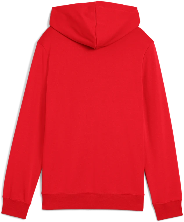 Puma Džemperis Paaugliams Ess No.1 Logo Hoodie Raudona 684909 11