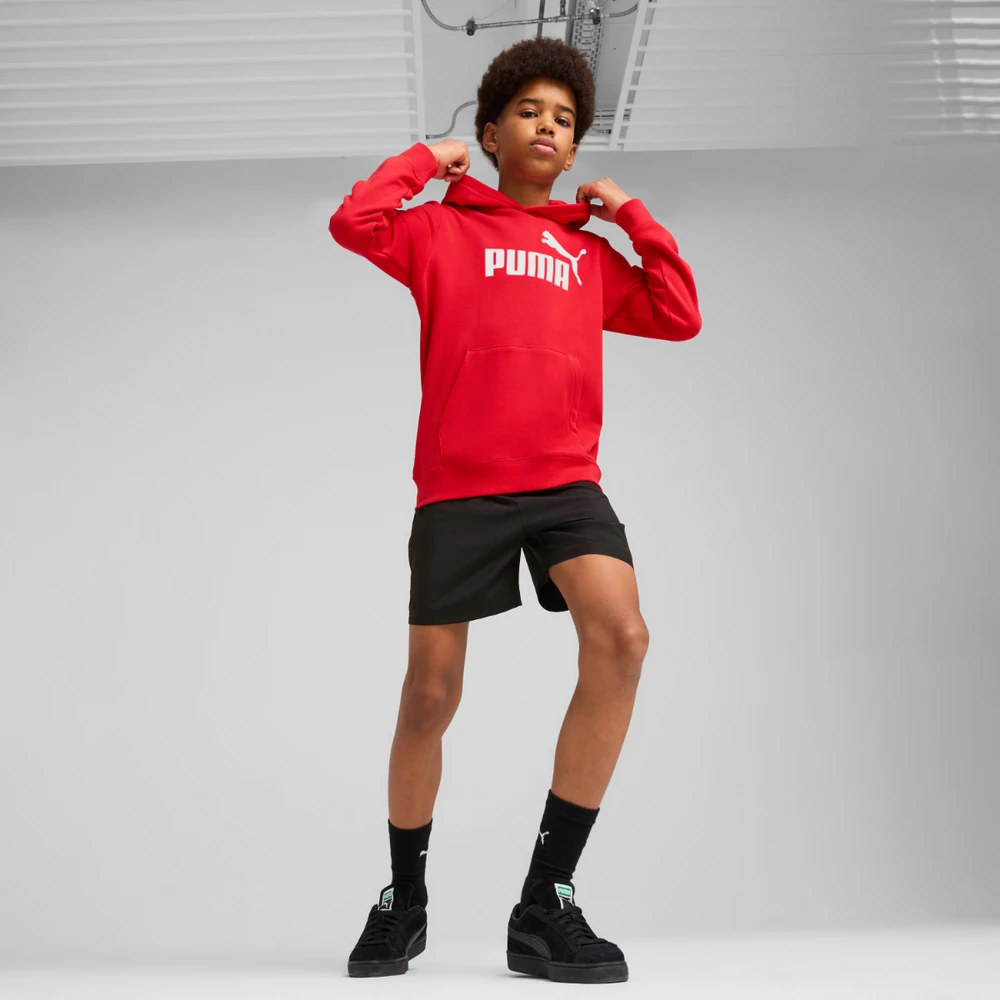 Puma Džemperis Paaugliams Ess No.1 Logo Hoodie Raudona 684909 11