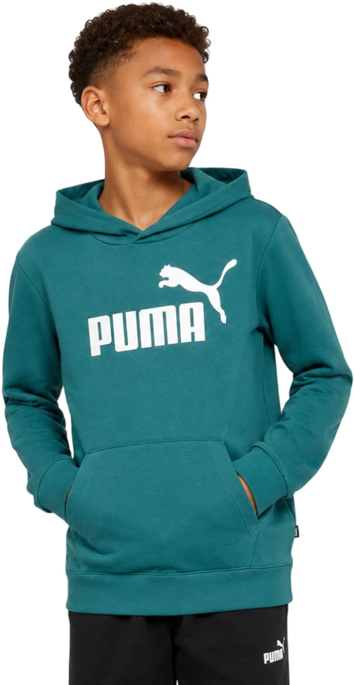 Puma Džemperis Paaugliams Ess No.1 Logo Hoodie Žalias 684909 41