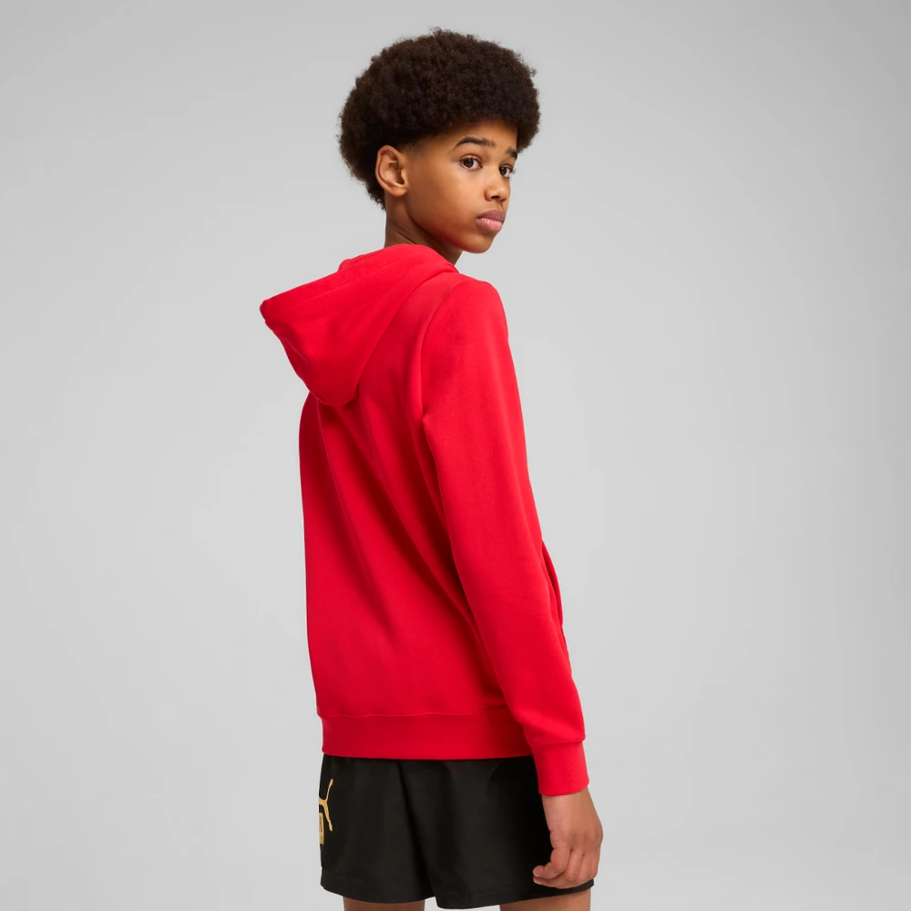 Puma Džemperis Paaugliams Ess No.1 Logo Hoodie Raudona 684909 11