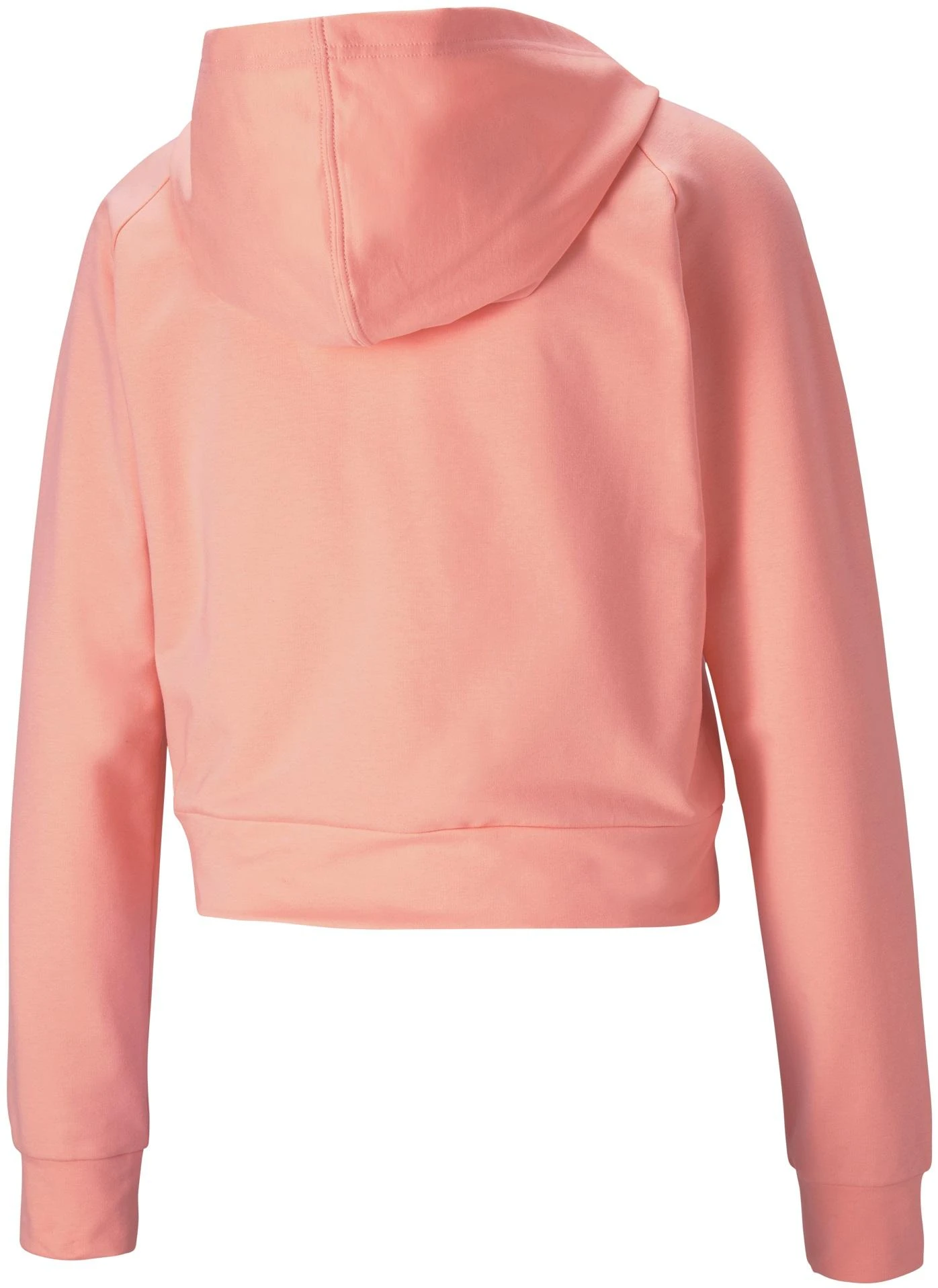 Puma Džemperis Rtg Full-Zip Hoodie Apricot Peach 586485 26