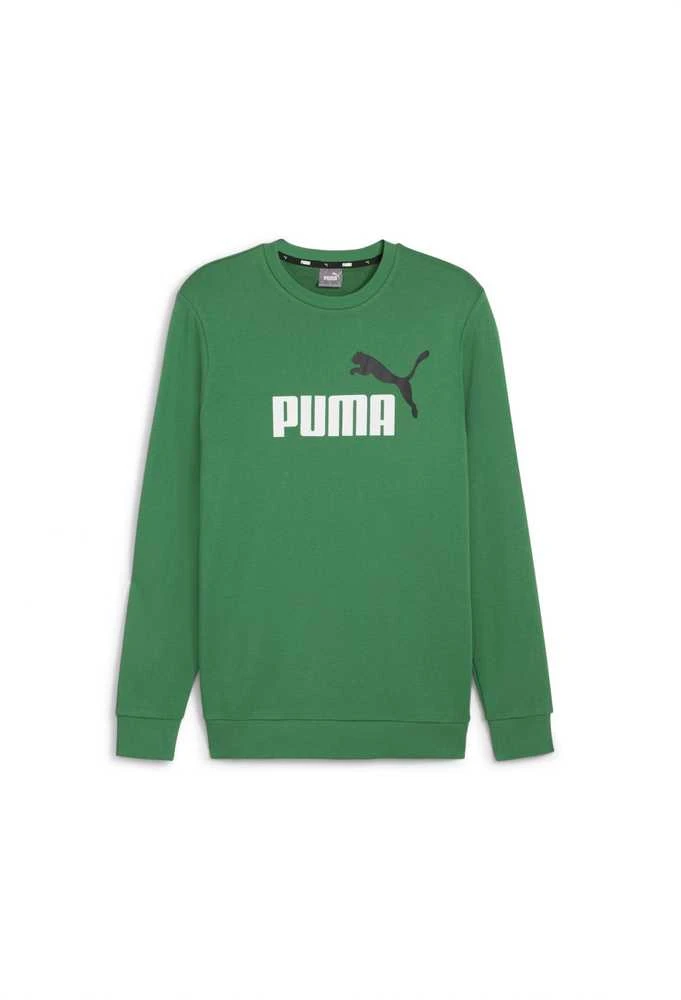 Puma Džemperis Vyrams Ess+ 2 Col Big Logo Žalias 586763 86