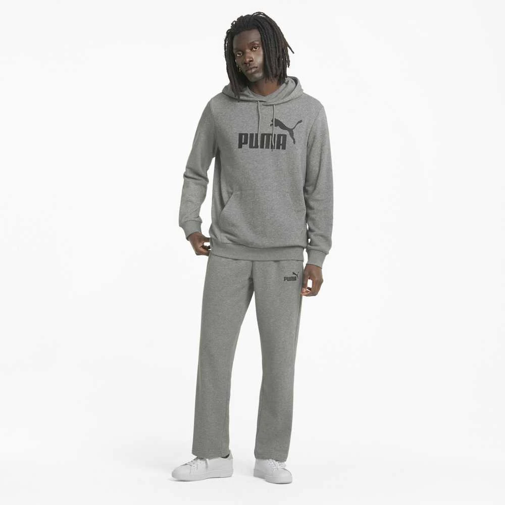 Puma Džemperis Vyrams Ess Big Logo Hoodie Pilkas 586688 03