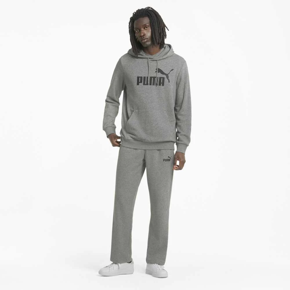 Puma Džemperis Vyrams Ess Big Logo Hoodie Pilkas 586688 03