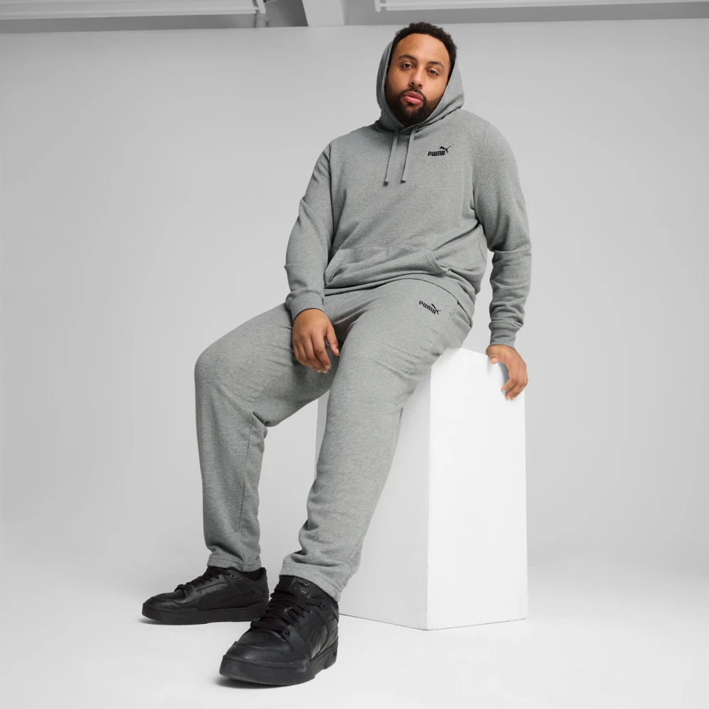 Puma Džemperis Vyrams Ess Small No. 1 Logo Hoodie Pilkas 682576 03