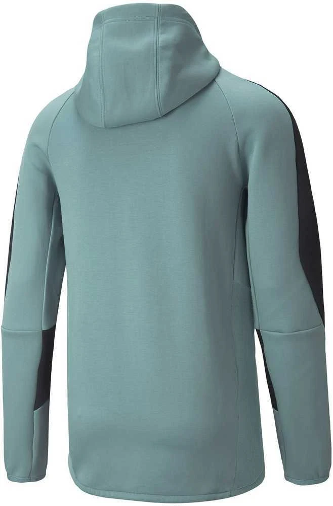 Puma Džemperis Vyrams Evostripe Full-Zip Mint 847401 50