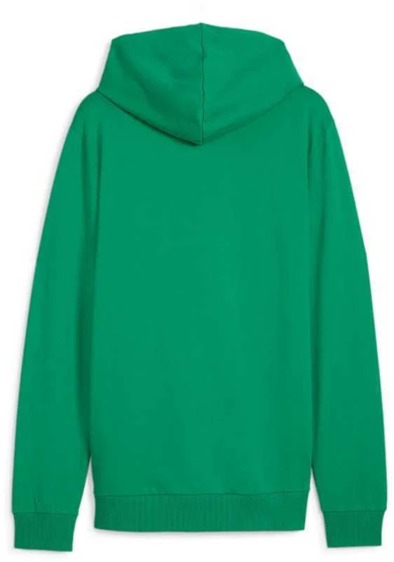 Puma Džemperis Vyrams TeamGoal Casuals Hooded Žalias 658595 05