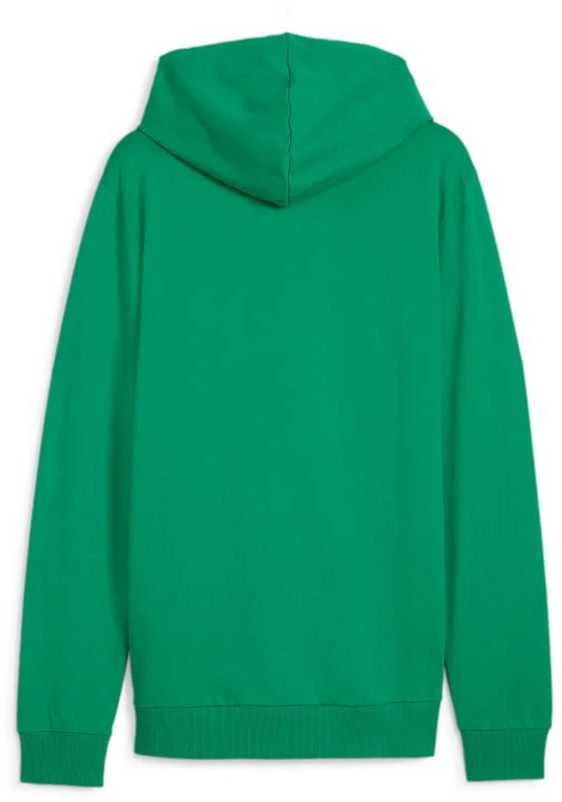 Puma Džemperis Vyrams TeamGoal Casuals Hooded Žalias 658595 05