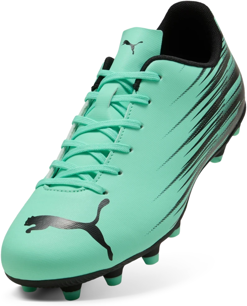 Puma Futbolo Avalynė Vyrams Attacanto II Fg/Ag Žalias 108493 08