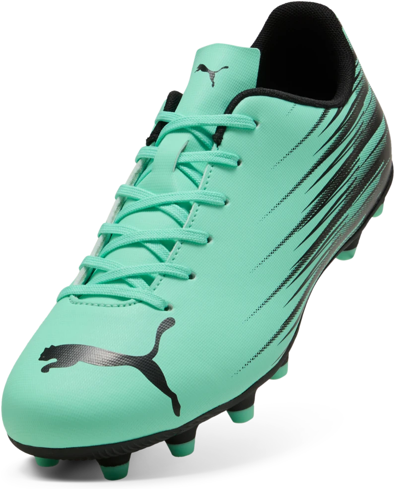 Puma Futbolo Avalynė Vyrams Attacanto II Fg/Ag Žalias 108493 08