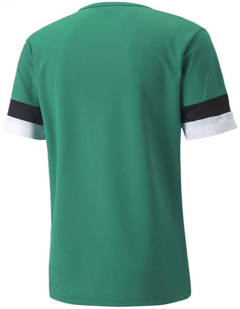 Puma Futbolo Marškinėliai Vyrams TeamRise Jersey Žalias 704932 05