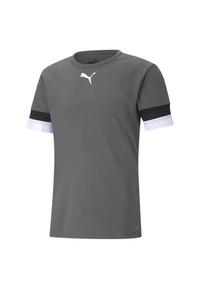 Puma Futbolo Marškinėliai Vyrams TeamRise Jersey Pilkas 704932 13