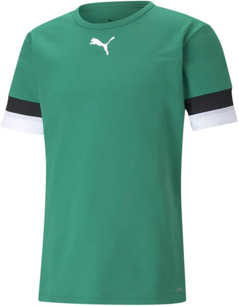 Puma Futbolo Marškinėliai Vyrams TeamRise Jersey Žalias 704932 05