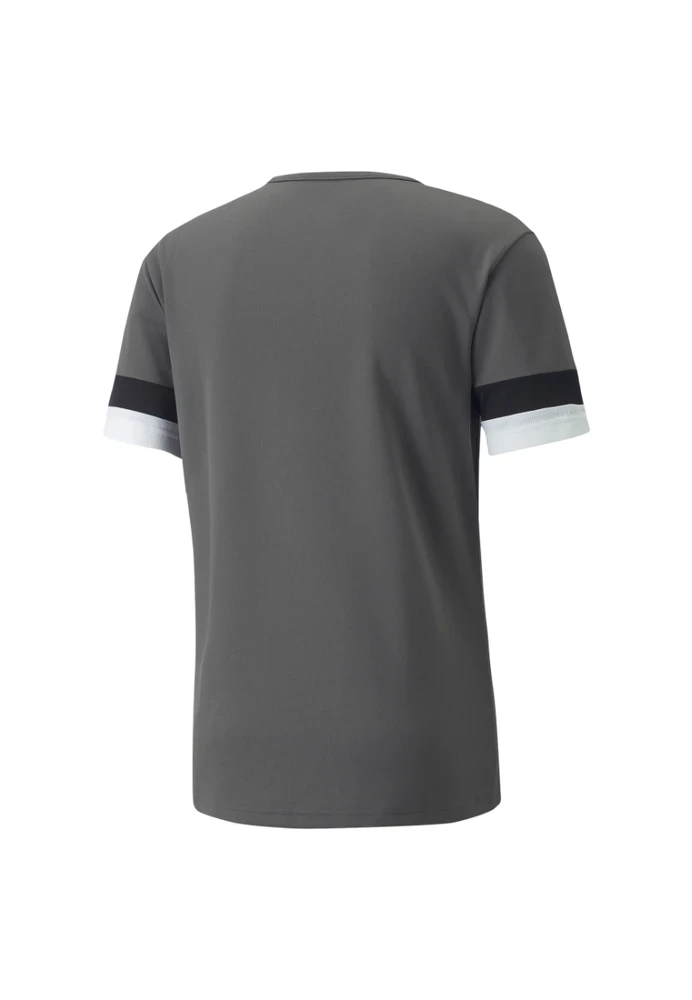 Puma Futbolo Marškinėliai Vyrams TeamRise Jersey Pilkas 704932 13