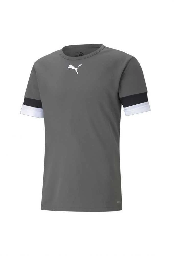 Puma Futbolo Marškinėliai Vyrams TeamRise Jersey Pilkas 704932 13