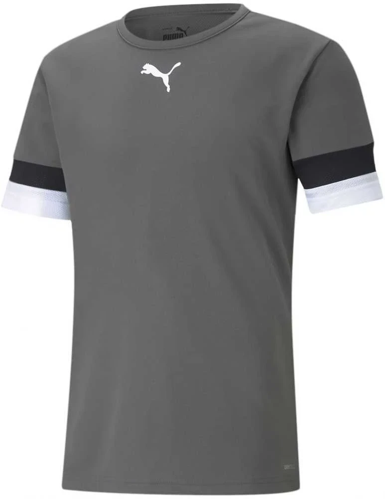 Puma Futbolo Marškinėliai Vyrams TeamRise Jersey Pilkas 704932 13