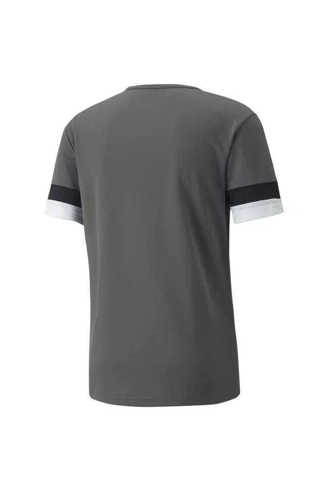 Puma Futbolo Marškinėliai Vyrams TeamRise Jersey Pilkas 704932 13