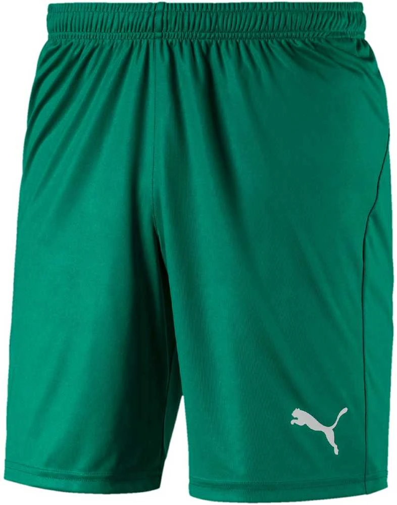 Puma Futbolo Šortai Liga Shorts Core Pepper Žalias