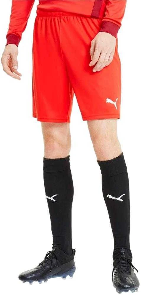 Puma Futbolo Šortai Vyrams TeamGoal 23 Knit Shorts Raudona 704262 01