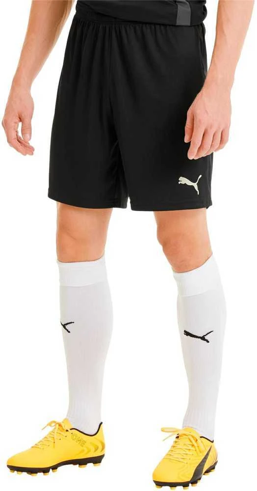 Puma Futbolo Šortai Vyrams TeamGoal 23 Knit Shorts Juodas 704262 03