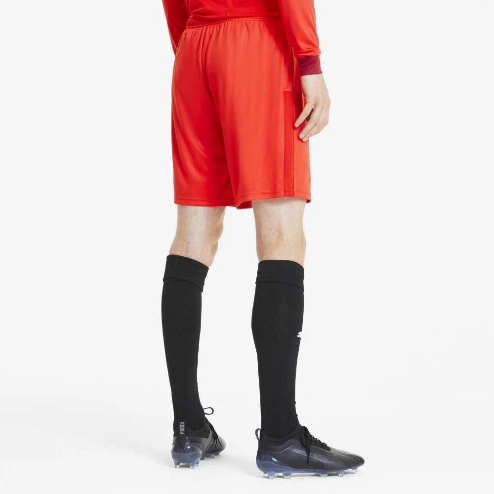Puma Futbolo Šortai Vyrams TeamGoal 23 Knit Shorts Raudona 704262 01