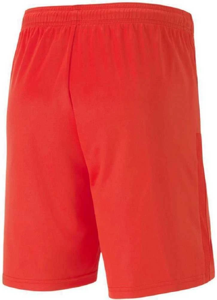 Puma Futbolo Šortai Vyrams TeamGoal 23 Knit Shorts Raudona 704262 01