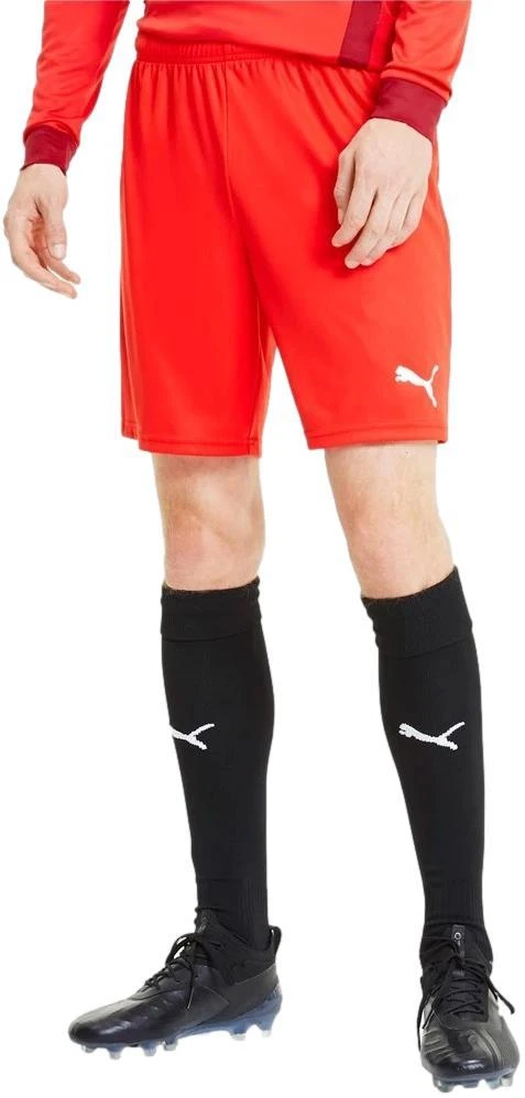 Puma Futbolo Šortai Vyrams TeamGoal 23 Knit Shorts Raudona 704262 01