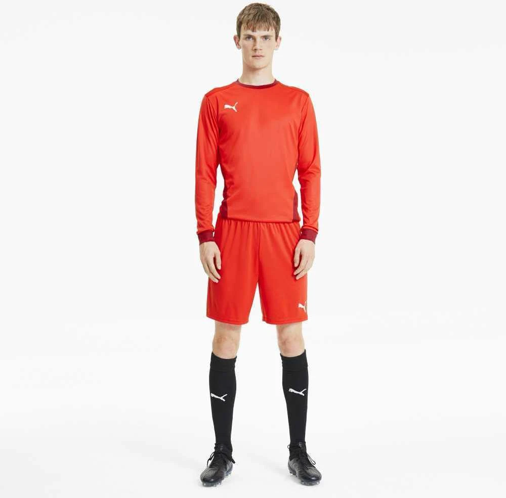 Puma Futbolo Šortai Vyrams TeamGoal 23 Knit Shorts Raudona 704262 01