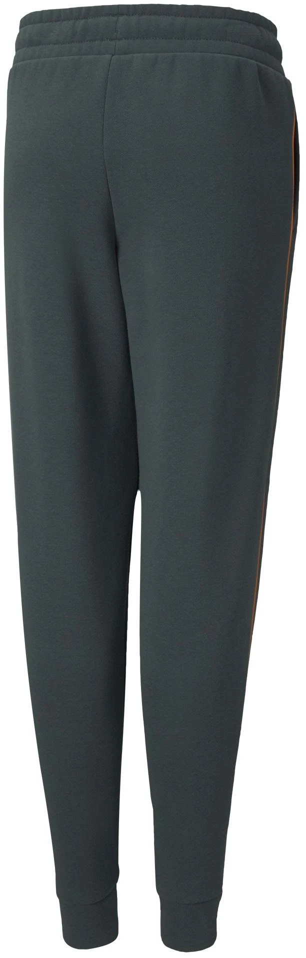 Puma Kelnės Paaugliams Alpha Holiday Sweatpants Žalias 845634 80