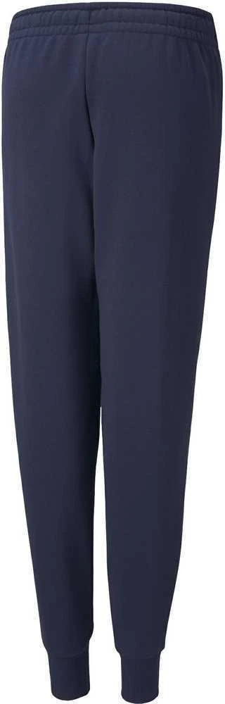 Puma Kelnės Paaugliams Alpha Sweat Pants Mėlyna 589286 06