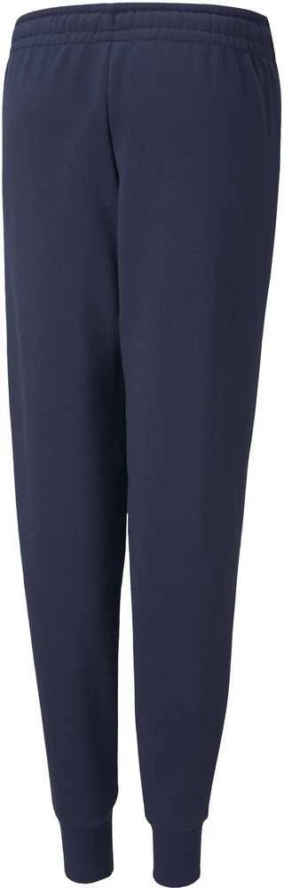Puma Kelnės Paaugliams Alpha Sweat Pants Mėlyna 589286 06