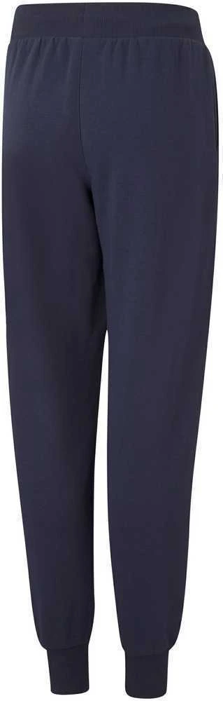 Puma Kelnės Paaugliams Alpha Sweatpants Mėlyna 847290 06