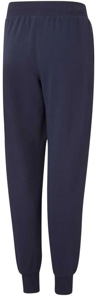 Puma Kelnės Paaugliams Alpha Sweatpants Mėlyna 847290 06