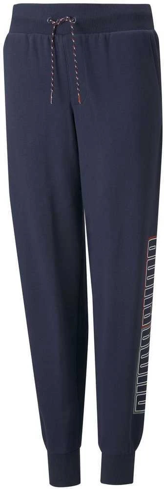 Puma Kelnės Paaugliams Alpha Sweatpants Mėlyna 847290 06
