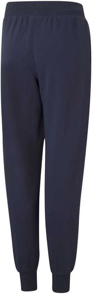 Puma Kelnės Paaugliams Alpha Sweatpants Mėlyna 847290 06