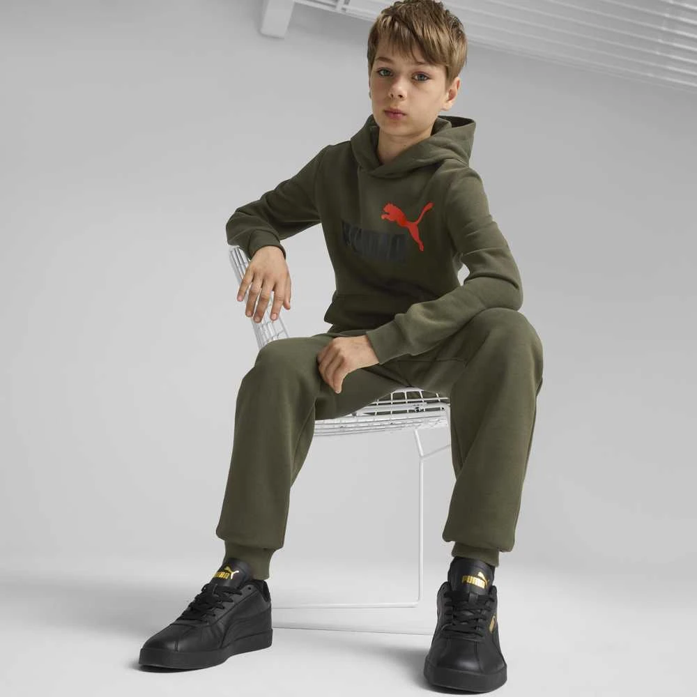 Puma Kelnės Paaugliams Ess + 2 Col Logo Pants Fl Khaki 586988 77