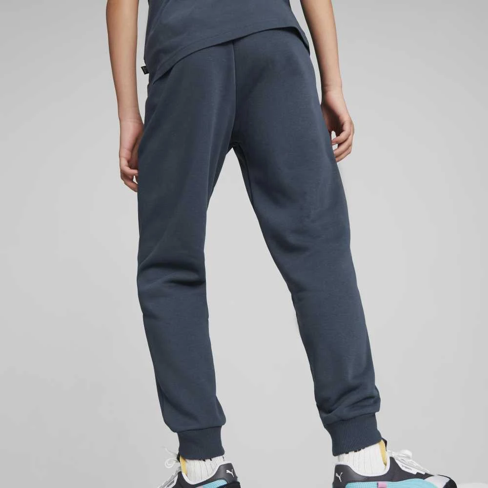 Puma Kelnės Paaugliams Ess + 2 Col Logo Pants Mėlyna 586988 16