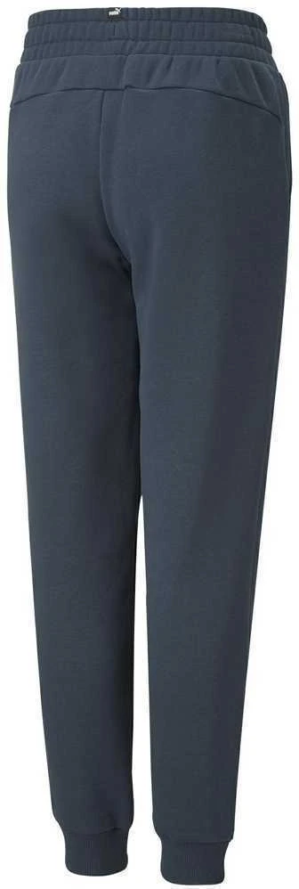 Puma Kelnės Paaugliams Ess + 2 Col Logo Pants Mėlyna 586988 16