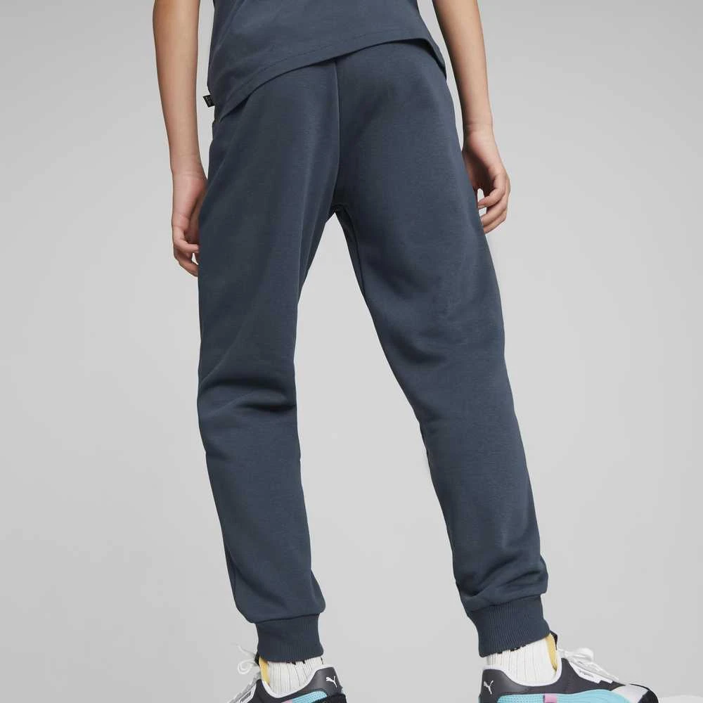Puma Kelnės Paaugliams Ess + 2 Col Logo Pants Mėlyna 586988 16