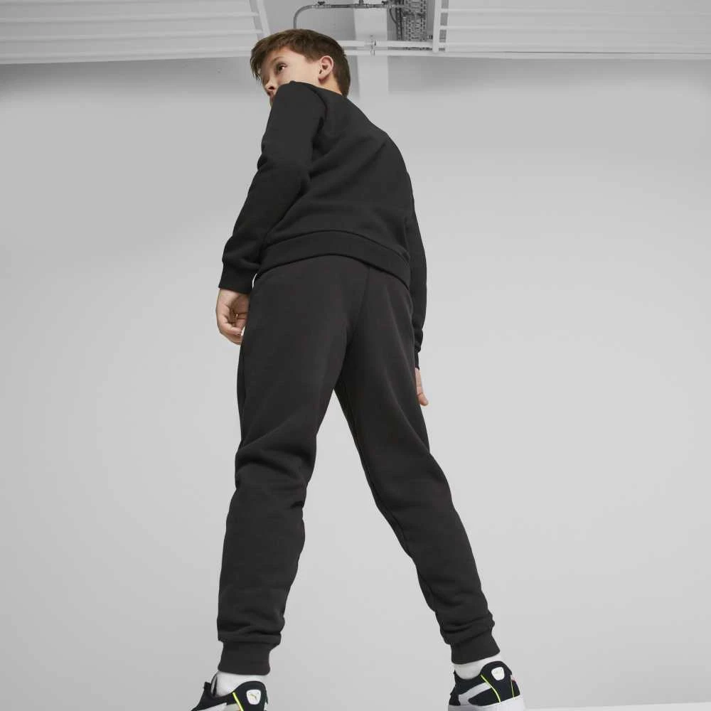 Puma Kelnės Paaugliams Ess + 2 Col Logo Pants Juodas 586988 61