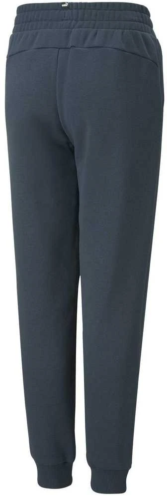 Puma Kelnės Paaugliams Ess + 2 Col Logo Pants Mėlyna 586988 16